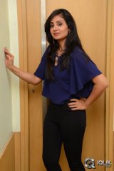 Bhanu Sri Mehra at Ala Ela Platinum Disc Function